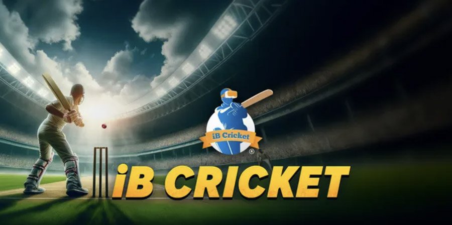 iB Cricket Promo Code for Meta Quest